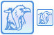 Animals icons
