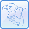 Birds icon