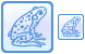 Frog icons