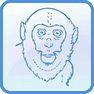 Monkey icon