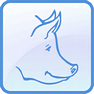 Pig icon