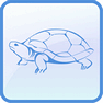 Turtle icon