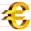 Euro icon