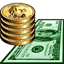 Money icon