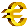 Euro icon