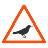 Bird Warning V2 icon