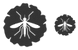 Dengue fever virus icons