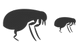 Flea icons