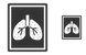 Lungs fluorography icons