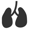 Lungs V2 icon