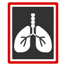 Lungs X-Ray Photo icon