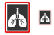 Lungs x-ray photo icons