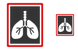 Lungs x-ray photo