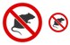 No rats