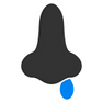 Nose Flu icon