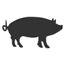 Pig icon