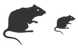 Rat icons