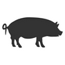 Swine icon