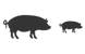 Swine icons