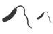 Vibrio cholerae icons
