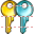 Key copy icon