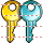 Key copy icon