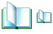 Book of record icons