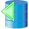 Previous Record icon