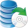 Backup Data icon