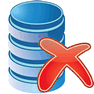 Destroy Database icon