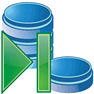 Last Record icon