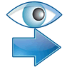 Lookup icon
