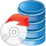 Restore Data icon