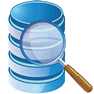 Search Data icon