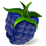 Blackberry icon