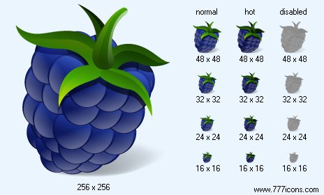 Blackberry Icon Images
