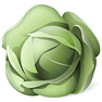 Cabbage icon