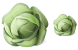 Cabbage icons