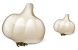 Garlic icons