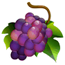 Grapes icon