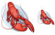 Lobster icons