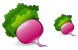 Radish icons