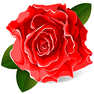 Rose icon