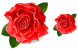 Rose icons