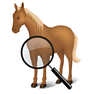 Biology icon