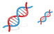 Molecular biology ico