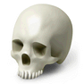 Scull icon