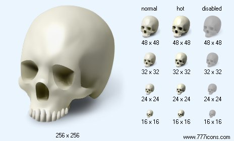 Scull Icon Images