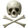 Skull icon