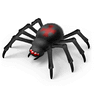 Spider icon